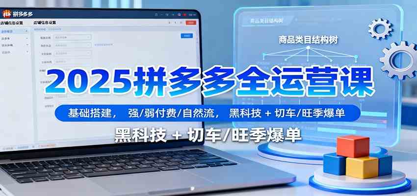 2025拼多多全运营课:基础搭建,强/弱付费/自然流,黑科技 + 切车/旺季爆单-淘金阁网创