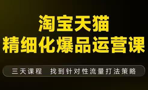 猫课子幽·淘宝天猫精细化爆品运营【音频+字幕+文档】(9月12-14杭州线下课)-淘金阁网创