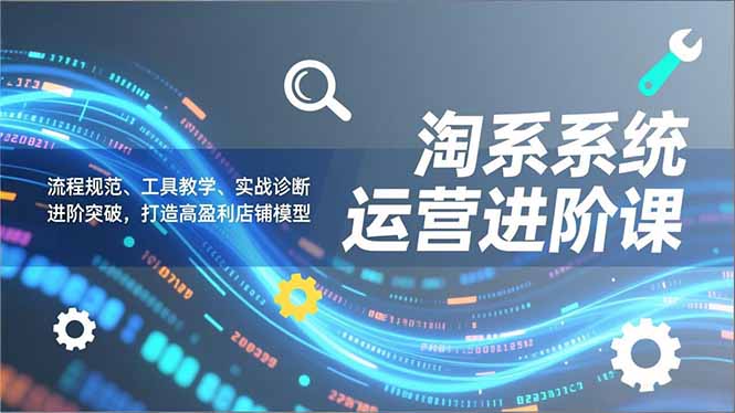 淘系系统运营进阶课2.0，流程规范、工具教学、实战诊断，进阶突破，打造高盈利店铺模型-淘金阁网创