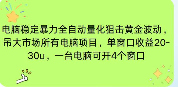 (16737期)电脑EA策略挂机项目单窗口收益20-30u,单电脑可挂5-10个窗口收益稳健4位数-淘金阁网创