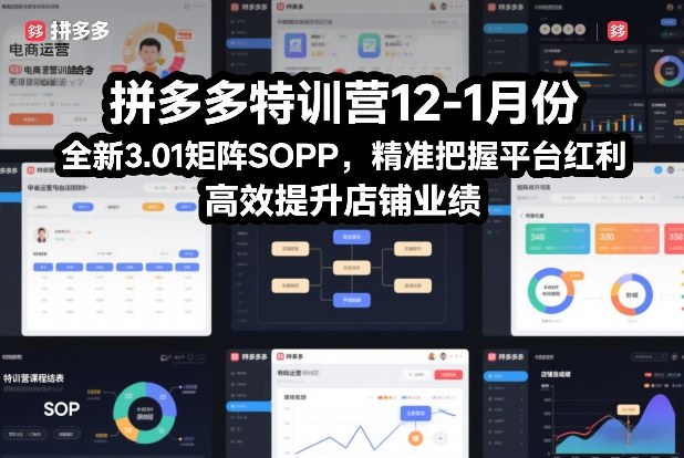 拼多多特训营12-1月份，全新3.01矩阵Sop，精准把握平台红利，高效提升店铺业绩-淘金阁网创
