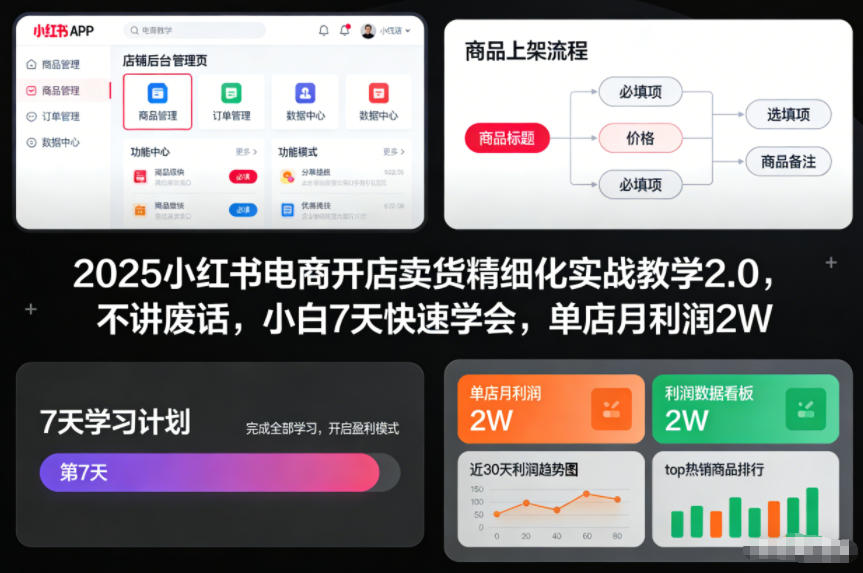 2025小红书电商开店卖货精细化实战教学2.0，不讲废话，小白7天快速学会，单店月利润2W-淘金阁网创