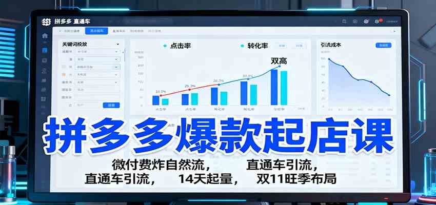 拼多多爆款起店课:微付费炸自然流,直通车引流,14天起量,双11旺季布局-淘金阁网创