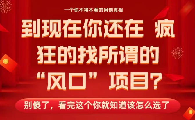 马上26年了,你还在找所谓的风口项目?别傻了,看完这个你全都懂了!【揭秘】-淘金阁网创