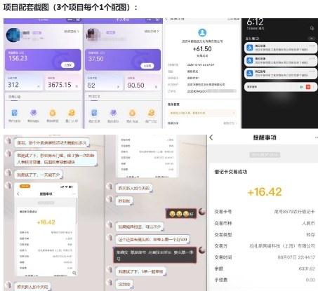 当天能收益的3个小项目拆解_包括平台+操作流程-淘金阁网创