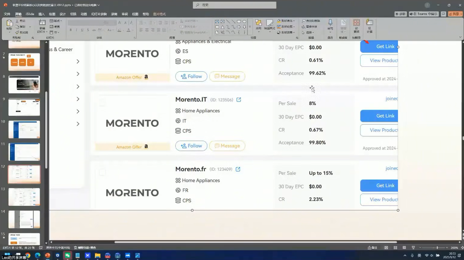 leo老师·谷歌广告投放与联盟营销-淘金阁网创