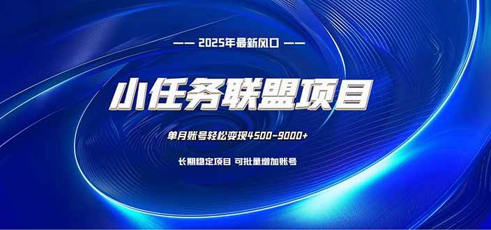 (16521期)小任务联盟项目:一台电脑每天只需10分钟,轻松简单稳定-淘金阁网创