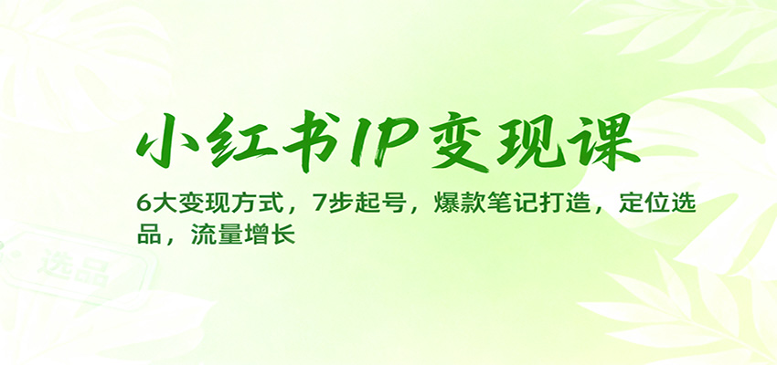 小红书IP变现课:6大变现方式,7步起号,爆款笔记打造,定位选品,流量增长-淘金阁网创