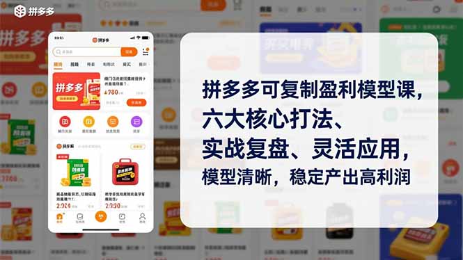 拼多多可复制盈利模型课,六大核心打法、实战复盘、灵活应用,模型清晰,稳定产出高利润-淘金阁网创
