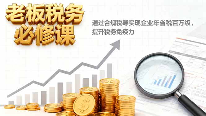 老板税务必修课,通过合规税筹实现企业年省税百万级,提升税务免疫力-淘金阁网创