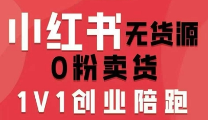 小红书无货源0粉电商课，开店准备、选品策略、笔记撰写、视频剪辑、数据分析、账号打造、资料文档(更新)-淘金阁网创