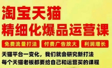 淘宝天猫精细化爆品运营课,免费流量打法-付费广告放大-利润增长-三大核心痛点,一次全部解决-淘金阁网创