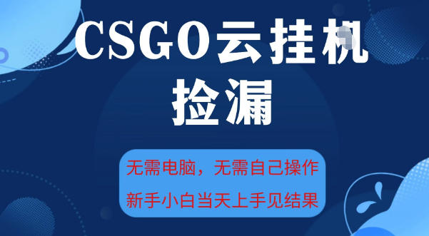 CSGO云挂G全自动捡漏,最新独家玩法,无需电脑操作,新手小白日入5张+【揭秘】-淘金阁网创