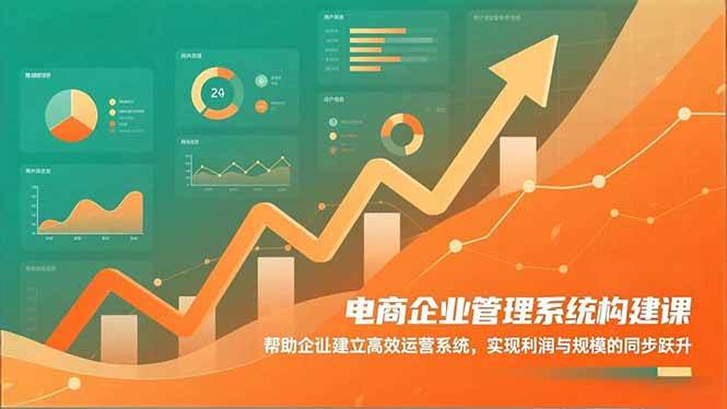 (16643期)电商企业管理系统构建课:帮助企业建立高效运营系统,实现利润与规模的同步跃升-淘金阁网创
