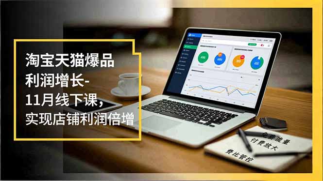 淘宝天猫爆品利润增长-11月线下课,免费流量、付费放大、费比管控,实现店铺利润倍增-淘金阁网创