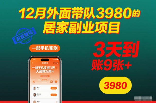 12月外面带队3980的居家副业项目,一部手机实测3天到账9张+,首发教程【揭秘】-淘金阁网创