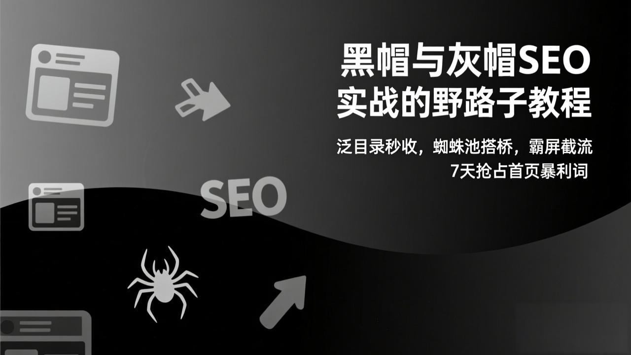 黑帽与灰帽SEO实战的野路子教程：泛目录秒收，蜘蛛池搭桥，霸屏截流，7天抢占首页暴利词-淘金阁网创