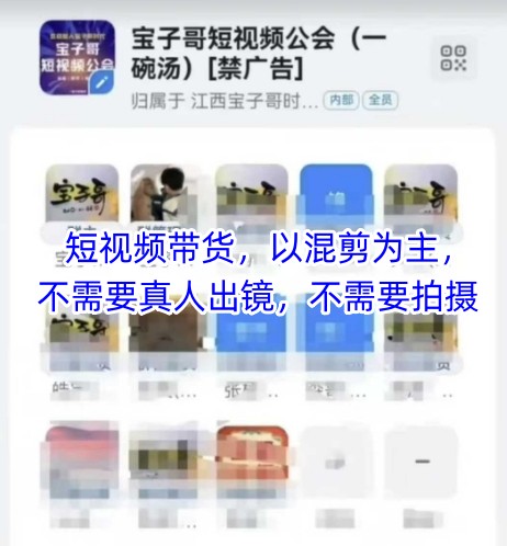 宝子哥头部团队短视频带货,以混剪为主,不需要真人出镜,不需要拍摄【更新12月】-淘金阁网创