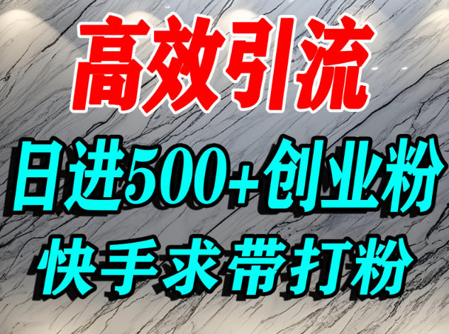 怎么打创业粉?快手求带视角精准引流创业粉,宝妈、学生群体日进500+精准流量-淘金阁网创