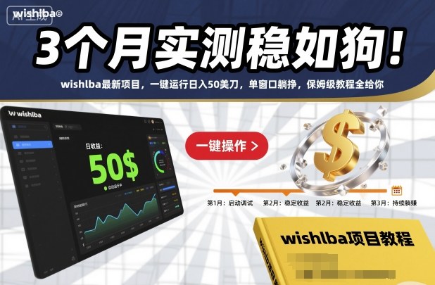 3个月实测稳如狗!wishlba最新项目,一键运行日入50美刀,单窗口躺挣,保姆级教程全给你【揭秘】-淘金阁网创