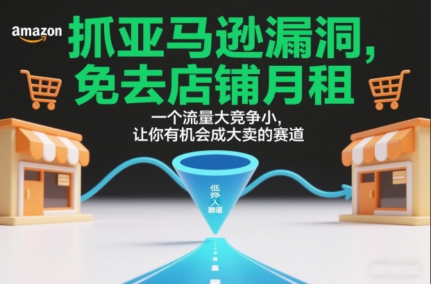 抓亚马逊漏洞，免去店铺月租，一个流量大竞争小，让你有机会成大卖的赛道-淘金阁网创