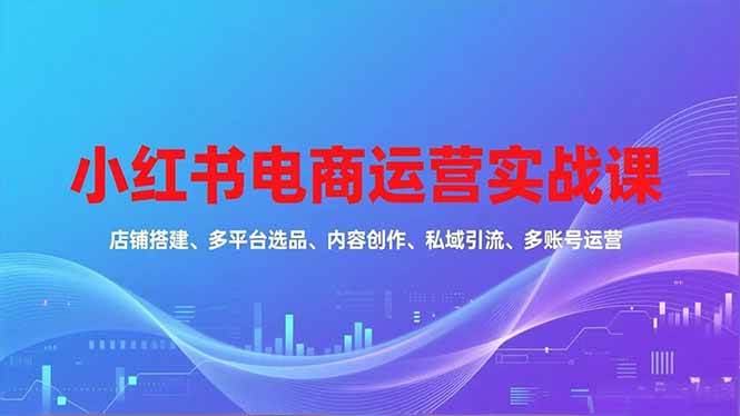 (16695期)小红书电商运营实战课,店铺搭建、多平台选品、内容创作、私域引流、多账号运营等玩法-淘金阁网创