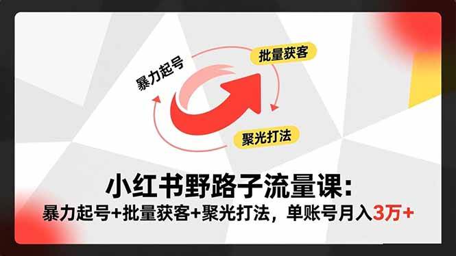 (16513期)小红书野路子流量课:暴力起号+批量获客+聚光打法,单账号月入3万+-淘金阁网创