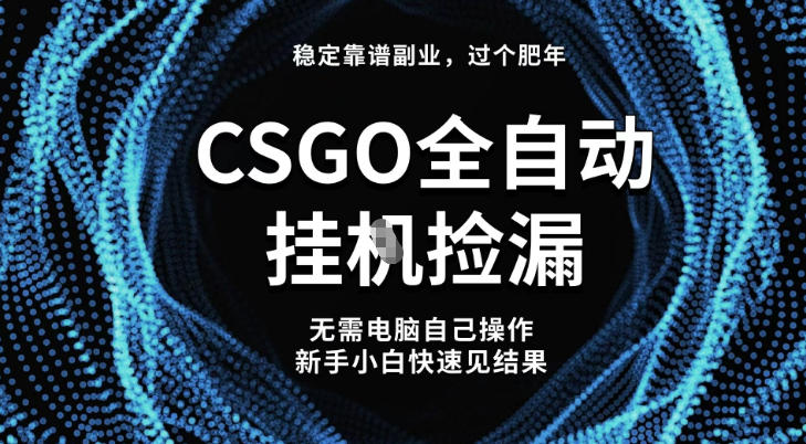【稳定副业】全球最热门游戏CSGO全自动捡漏,最新玩法,新手小白日入5张+【揭秘】-淘金阁网创